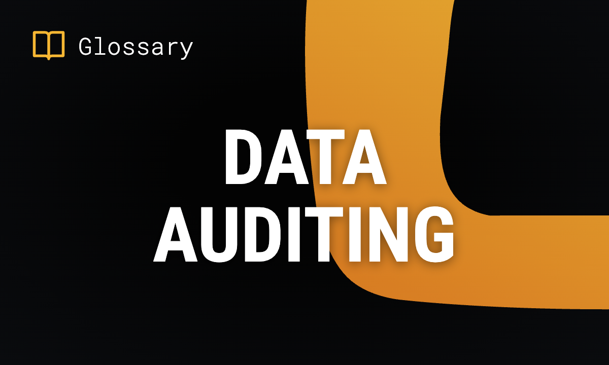 Data Auditing