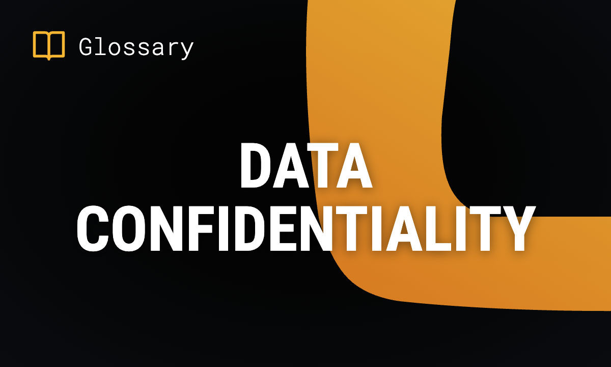 Data Confidentiality