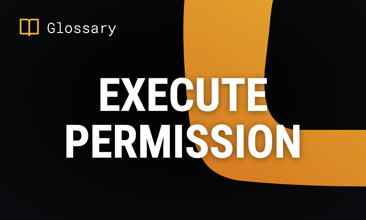 What is Execute Permission? Definition & Guide