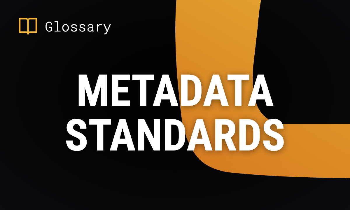 What are Metadata Standards? Types & Examples