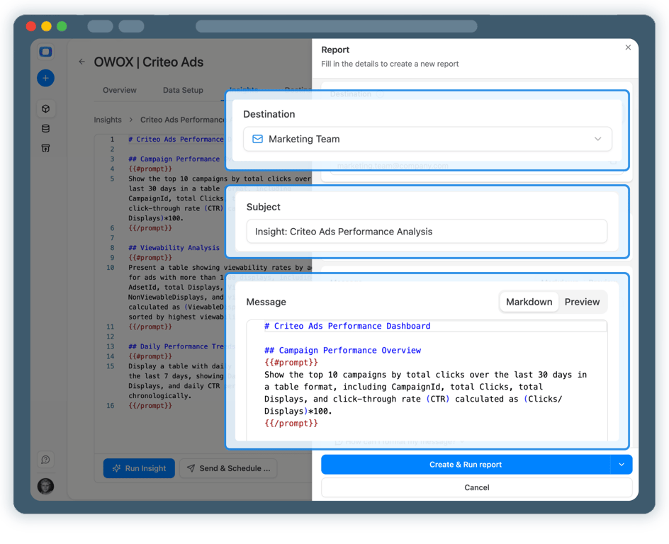 Step 5: Use Criteo Ads Data Across BI Tools & AI Insights