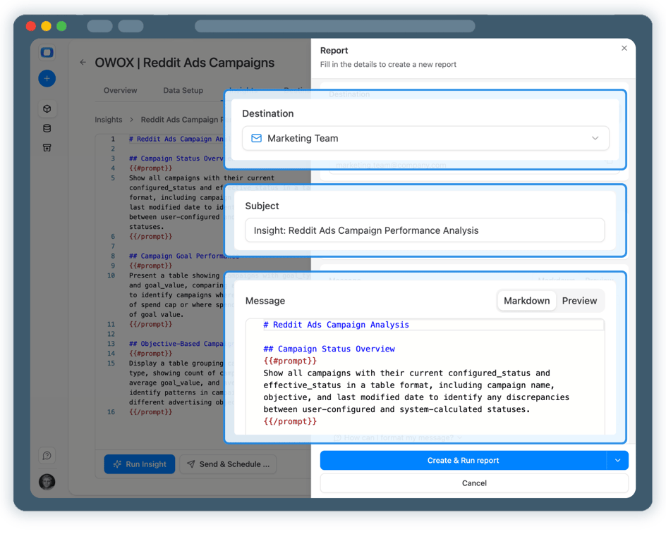 Step 5: Use Reddit Ads Data Across BI Tools & AI Insights