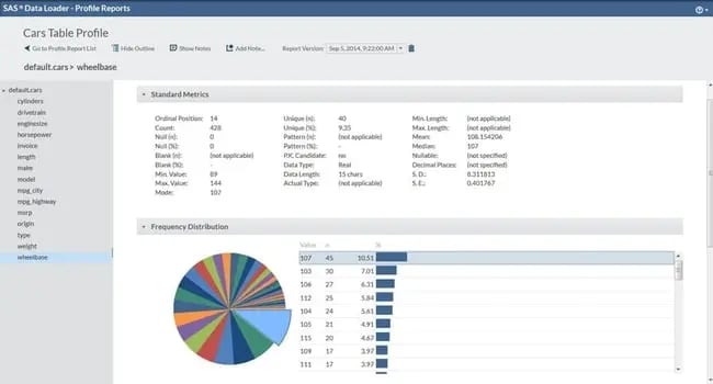 SAS Data Management Loader’s profile report for a dataset, displaying standard metrics and a frequency distribution with a pie chart.