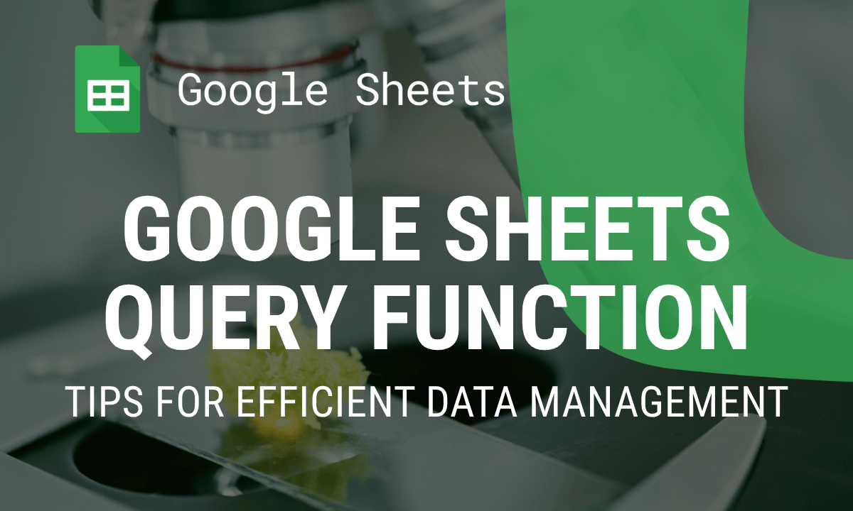QUERY function in Google Sheets: syntax, clauses and examples